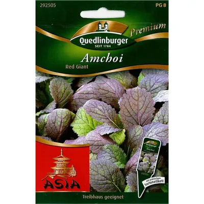 Zdjęcie produktu dla Amchoi, czerwony olbrzym