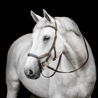 Produktbild von Horseware Micklem Deluxe Competition