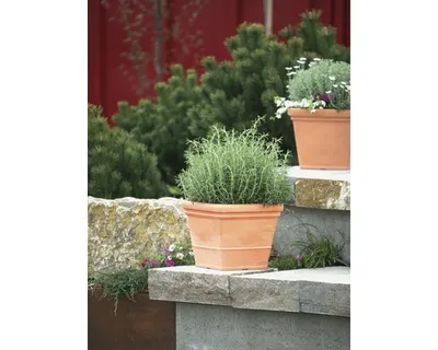 Produktbild von Untersetzer BIANCA quadratisch aus Kunststoff in impruneta