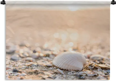 Produktbild von MuchoWow® Wandteppich Wandbehang Muscheln - Weiß - Strand - Sommer 150x112.50 cm Tapisserie Dekoration Wandtuch - Wanddecke - Wandteppiche