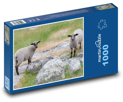 Obrázok produktu pre Puzzle 1000 Ovce na kamenistej lúke - martinpuzzle
