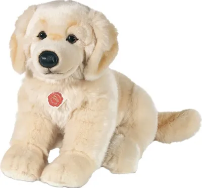 Produktbild von Golden Retriever, 30 cm, Plüsch