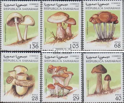 Produktbild von Briefmarken Sahara 1997 Mi Ausgabe der Exilregierung ohne Gültigkeit im int. Postverkehr Nr.32 postfrisch Pilze