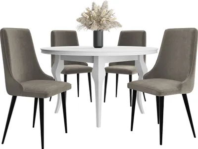 Produktbild von MIRJAN24 Stuhl Mario, 1 Stück, Polsterstuhl, Beine aus Metall, 55x48x91 cm, Wohnzimmer (Farbe: Magic Velvet 2209, Beine: Schwarz)