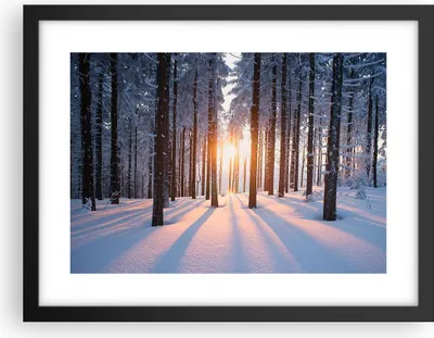 Produktbild von Gerahmtes Poster - Schwarzer Rahmen - Wald Winter Schnee - 40x30 cm - Wand Bild - Wanddeko - Wandbilder - Kunstposter - Wandposter - Bilderrahmen - Bilder - Kunstdruck - Wandbild - P2BAA40x30-3629