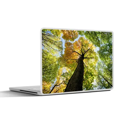 Produktbild von MuchoWow® Laptop Aufkleber Sticker Cover Baum - Natur - Wald 30x22 cm - Laptop-Sticker
