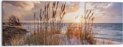 Produktbild von Bild auf Leinwand - Leinwandbild - 3 Teile - Westen auf der Strand - 150x50cm - Wand Bild - Wanddeko - Wandbilder - Leinwanddruck - Bilder - Wanddekoration - Leinwand bilder - Wandbild - CA150x50-4710