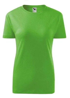 Produktbild von Malfini - T-Shirt für Damen PP10124 (L) (Grün)