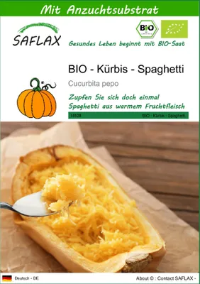 Produktbild von SAFLAX - BIO - Kürbis - Spaghetti - 5 Samen - Mit keimfreiem Anzuchtsubstrat - Cucurbita pepo