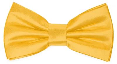 Produktbild von Ladeheid Kinder Jungen Fliege - Vorgebunden Glänzende BKS (10cm x 5cm)