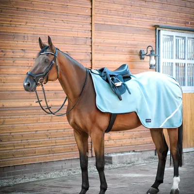 Image de Busse Couvre-reins FLEECETRAINER III, silver pine , Busse_17_tailles:155