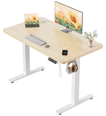 Immagine prodotto di Scrivania regolabile in altezza - 100x60 cm - Regolazione elettrica - Struttura in acciaio