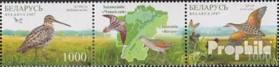 Produktbild von Briefmarken Weißrussland 2007 Mi 670-671 Dreierstreifen (kompl.Ausg.) postfrisch Cepkelis und Kotra