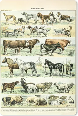 Produktbild von MuchoWow® Mauspad Mousepad Tiere - Pferde - Illustration - Vintage - Adolphe Millot 18x27 cm - Mousepads - Maus Mat - Pad - Mausunterlage
