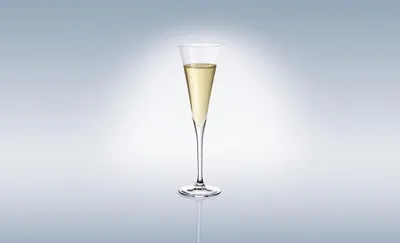 Produktbild von Villeroy & Boch Purismo Specials Sektspitze 2tlg. je 24,5cm 120ml