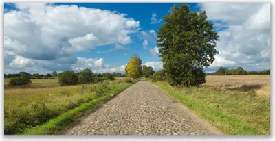 Produktbild von Tulup Leinwand-Bilder 140x70 Wandbild Canvas Kunstdruck Kopfpflaster Landschaft
