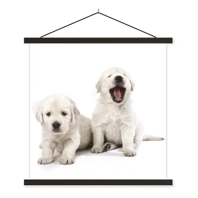 Produktbild von MuchoWow® Textilposter Portrait von Golden Retriever Welpen 60x60 cm mit schwarzem Rahmen - Posteraufhänger