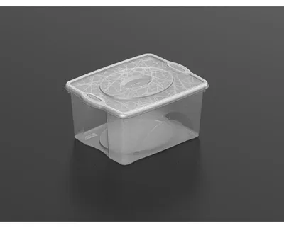 Image de Boite de rangement en plastique - Transparent - 32L