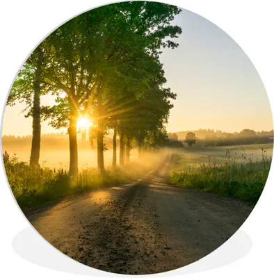 Produktbild von MuchoWow® Rundes Wandbild - Runde Bilder Sonnenaufgang durch die Bäume Ø 30 cm Kreis Wanddekoration Kunststoff - Wandkreis - Wandschmuck - Schlafzimmer - Bilder - Der Kreis - Kunst für die Wohnung - Plastik - Kunstdruck - Wandbild