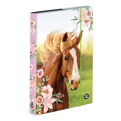 Obrázok produktu pre Karton P+P Pracovný zošit box A5 kôň KT3-77123