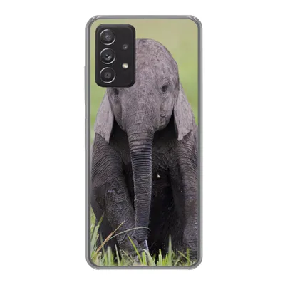 Produktbild von MuchoWow® Handyhülle Schutzhülle Hülle für Samsung galaxy a73 Elefant - Baby - Tiere - Gras - Natur Silikon Softcase Handy Hülle - Handyhülle