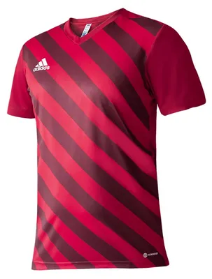 Produktbild von Adidas - "Entrada 22" Trikot für Herren PP1969 (S) (Rot)