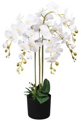 Image de Plante d'orchidée artificielle - Fleur décorative en pot - 75 cm de hauteur - Aspect réaliste - PVC - Pour intérieur - Vert armée