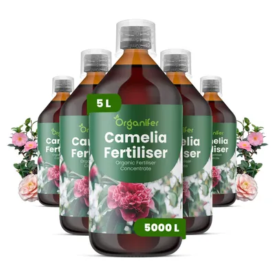 Obrázok produktu pre Kamélia, tekuté hnojivo 5 x 1 L – vzorec NPK 3-4-3 – pre kvitnúce rastliny – pre bohaté kvitnutie a zdravé listy – podporuje rast koreňov a vitalitu – organické hnojivo