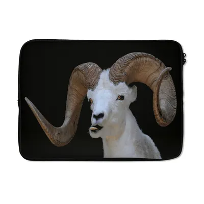 Produktbild von MuchoWow® Laptop Hülle 14 ZollBok - Tiere - Hoorn Laptoptasche - Laptoptasche - Stoßsicher - Schutzhaube