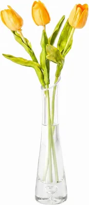 Image de Vase en verre transparent, soufflé à la main, de 23 cm de hauteur, idéal pour une seule fleur