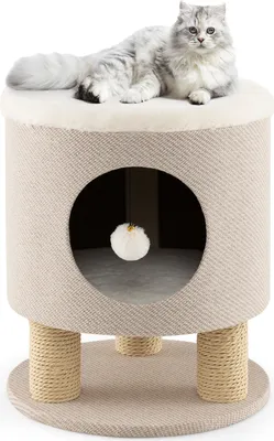 A cat is resting on top of a beige cat scratching post with a circular opening and a dangling toy.