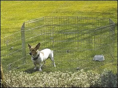 Produktbild von SAVIC Hundeauslauf 2 Laufstall 91 cm