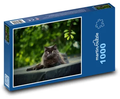Obrázek produktu pro Puzzle 1000 Černá kočka v přírodě - martinpuzzle