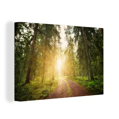 Obrázok produktu pre OneMillionCanvasses® - Maľba na plátne - Obraz na plátne Nástenná maľba na plátne - Les - strom - slnko - 150x100cm - Fotografia na plátne - maľba na