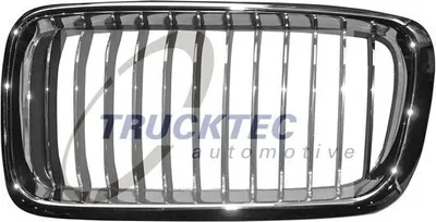 Produktbild von TRUCKTEC AUTOMOTIVE 08.62.297 Kühlergrill Frontgrill für BMW 7 (E38) Links