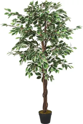 Obrázek produktu pro vidaXL Ficus Tree Artificial 756 Leaves 150 cm Green