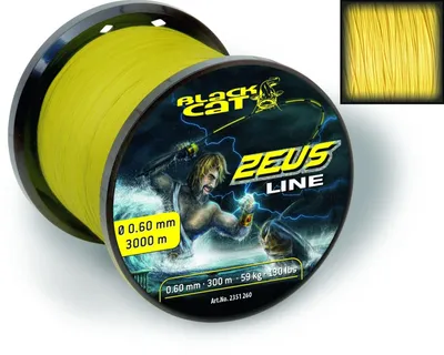 Produktbild von Black Cat Zeus Line Schnur - 3000m Wallerschnur, Durchmesser/Tragkraft:0.45mm / 37kg