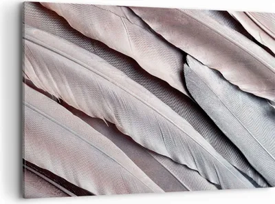 Produktbild von Bild auf Leinwand - Leinwandbild - Einteilig - Federn Flügel Feder - 100x70cm - Wand Bild - Wanddeko - Wandbilder - Leinwanddruck - Bilder - Wanddekoration - Leinwand bilder - Wandbild - AA100x70-5114