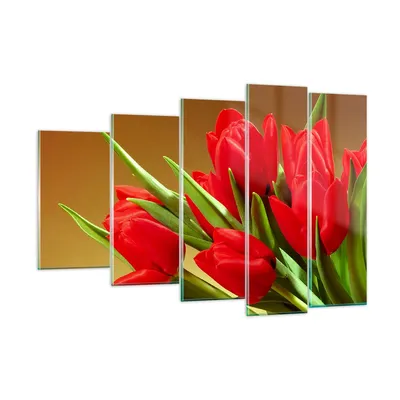 Produktbild von Bilder auf glas - Tulpen Blumen Feld Plantage - 150x100cm - Glasbilder - Wandbilder - Kunstdruck - zum Aufhängen bereit - Wanddekoration aus Glas - Glas Bilder - Wandbild auf Glas - GEG150x100-0962