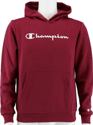 Produktbild von Sweatshirts Champion Big Logo Print 305358VS516
