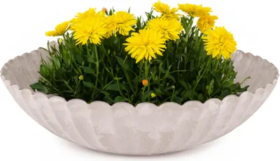 Image de Jardinière pour l'extérieur Jardinière décorative ronde sable beige marbré 28 cm