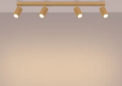 Produktbild von Spot Aluminium GU10 verstellbar in Gold 4-flammig länglich Modern Lampe