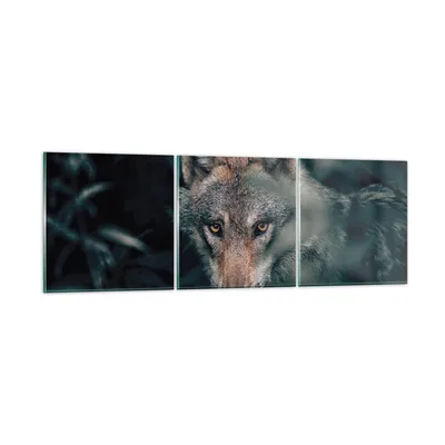 Produktbild von Bilder auf glas - 3 Teile - Wolf Wald Raubtier - 120x40cm - Glasbilder - Wandbilder - Bilder - zum Aufhängen bereit - Wanddekoration aus Glas - Glas Bilder - Wandbild auf Glas - GCA120x40-5053