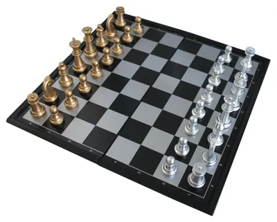 Immagine prodotto di Scatola per scacchi HOT Games. Due colori.magn.24x12x4cm.