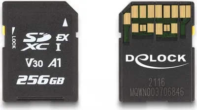 Image de DELOCK Carte mémoire SD Express 256 Go