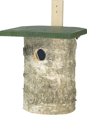 Produktbild von CJ Wildlife Nisthöhle Birkenholz grün LxBxH: 18x20x29,5 cm
