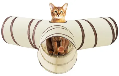 Image de Tunnel pour chat, beige, pliable, avec balle de jeu, pour petits animaux de compagnie