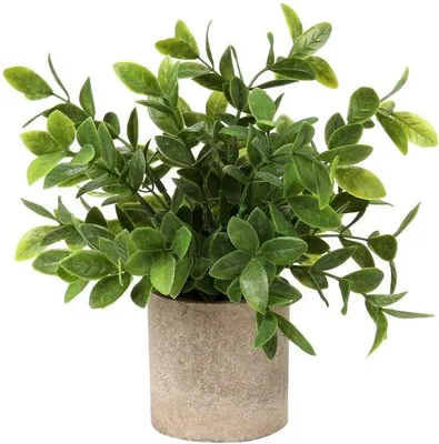 Image de Mini-plantes artificielles en pot, plantes décoratives au fini naturel pour le bureau, la table et la maison, éclairage pour balcons et intérieurs.