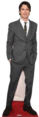 Immagine prodotto di Ian Somerhalder - Stand-up di cartone a grandezza naturale - circa 165 cm