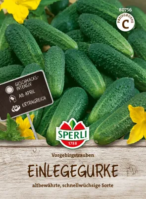 Produktbild von SPERLI Einlegegurkensamen Vorgebirgstrauben Cucumis sativus 50 Pflanzen
